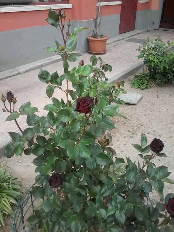 לינה וארוחת בוקר Sartirana Lomellina Perbacco מראה חיצוני תמונה